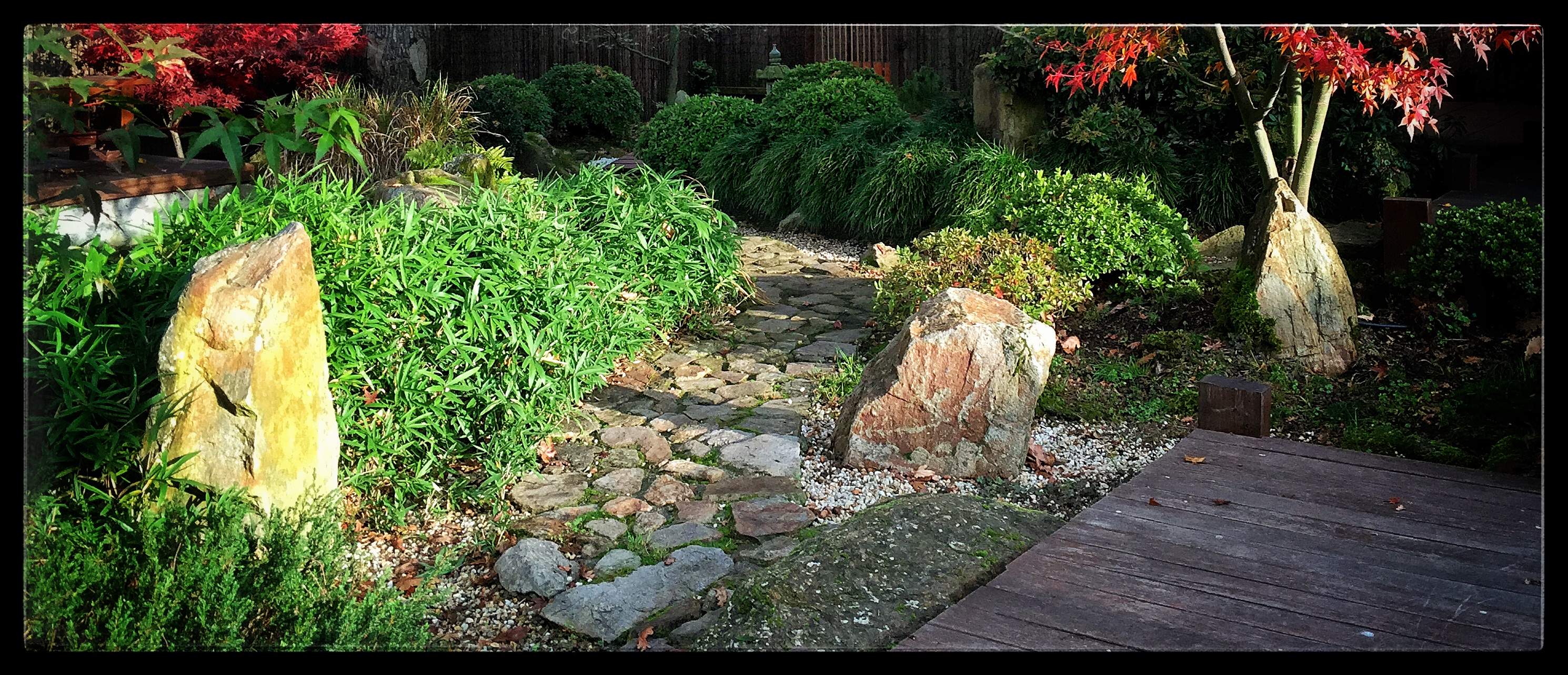 El Estanque - Elementos de Mi Jardín Japonés · Carla Amorim